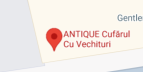 Localizarea pe Google Maps